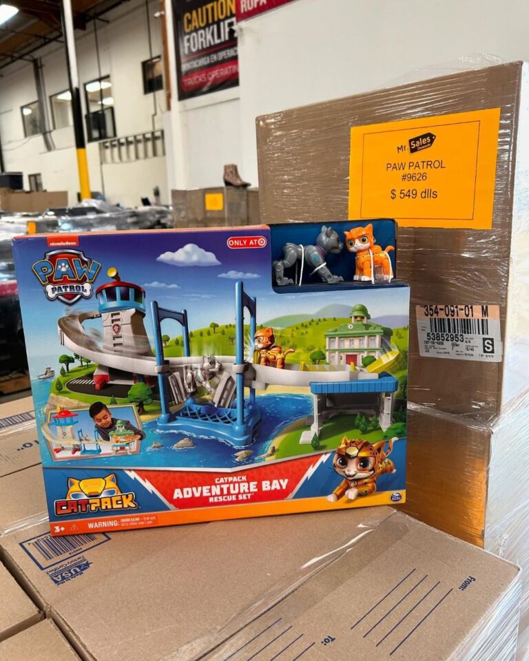 Paw patrol chase toy
